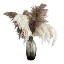 10/15pcs Artificial White Pampas Grass - Non-Shedding Pampas Decoration, Multifunctional For Thanksgiving, New Year, Valentine's Day, Mother's Day - Ideal For Wedding, Shower, Boho Home And Farmhouse Decor,Fall Decor,Autumn