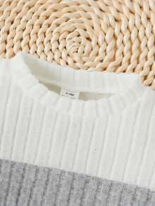 SHEIN Set de 2 piezas para bebé niño: Suéter de cuello redondo de manga larga con bloques de color blanco, gris y verde, y pantalones sólidos de color verde. Conjunto adecuado para salidas, uso casual, deportes y escuela.