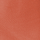Burnt Orange