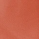 Burnt Orange