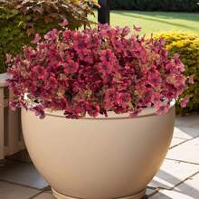 Outdoor Artificial Fall Flower, Uv Resistant Fake Plants, Faux Plastic Floral Orange Shrubs Hanging Flower Plant For Home Kitchen Balcony Garden Window Sill Fall Decoration - Multicolor - View 6