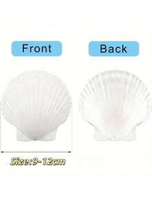 10 vỏ sò điệp tự nhiên lớn, 4''-5'' (10-12cm) 2''-3'' (5-8cm) Vỏ sò lớn dùng làm đồ thủ công, vẽ tranh tự làm, nướng bánh và trang trí đám cưới trên bãi biển - Vỏ sò trắng lớn dùng làm số lượng lớn cho tiệc theo chủ đề đại dương và trang trí nhà cửa Tiệc bãi biển Quà tặng tốt nhất Sinh nhật Tốt nghiệp - 10 chiếc - Xem 2