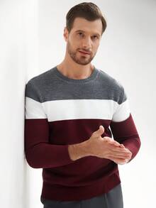 Manfinity Mode Men's Color Patchwork Round Neck Long Sleeve Simple Casual Sweater, Fall/Winter