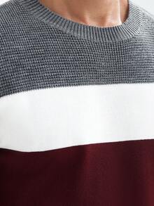 Manfinity Mode Men's Color Patchwork Round Neck Long Sleeve Simple Casual Sweater, Fall/Winter