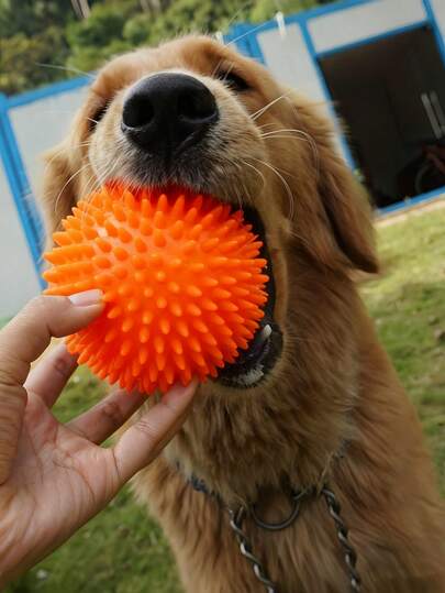 1PC Random Color Squeaky Dog Chew Ball Rubber Teeth Cleaning Toy Interactive Playtime Pet Training Fun Game Outdoor Indoor Puppy Toy Gift