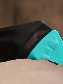 SHEIN Cheerettes 撞色口袋高腰网眼拼接紧身打底裤 - 黑色 - 查看 7