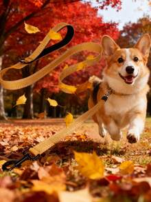 Lynxking Cute Cartoon Dog Leash Durable Webbing Lead With Reflective Strips And D-Ring No Pull Training Leash For Small Medium Large Dogs Heavy Duty Pet Lead For Walking Outdoor Activities Comfortable Handle - Brown - View 3