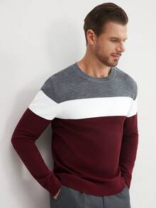 Manfinity Mode Men's Color Patchwork Round Neck Long Sleeve Simple Casual Sweater, Fall/Winter