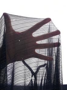 Gownix 女士优雅派对银箔前扣透视衬衫，秋季短款女士夏季上衣长袖上衣女士外出上衣 - 黑色 - 查看 10