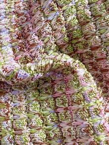 Swim Mod Summer Women 2 Pieces Textured Knit Halter Top And Drawstring Side Pants Swimsuit Set Knitted Bathing Suit Beaded Bikini Crochet Bikini Set Crochet Swimsuit Women String Bikini Set Boho Bathing Suit Boho Bikini Set Crochet Bathing Suit Textured Bikini - Multicolor - View 2