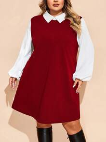 SHEIN CURVE+ Plus Size Women Colorblock Long Sleeve Dress, Autumn