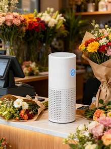 JMMO 1 Piece Compact Size Polypropylene Shell USB Air Purifier With H13 HEPA Filter Nano Activated Carbon Removes Formaldehyde Odors Dust Releases Negative Ions Quiet Operation Aromatherapy Function Black White Air Purifier For Home Office Bedroom Housewarming For Adults Autumn Winter Portable Mini Air Cleaner Fresh Air Device