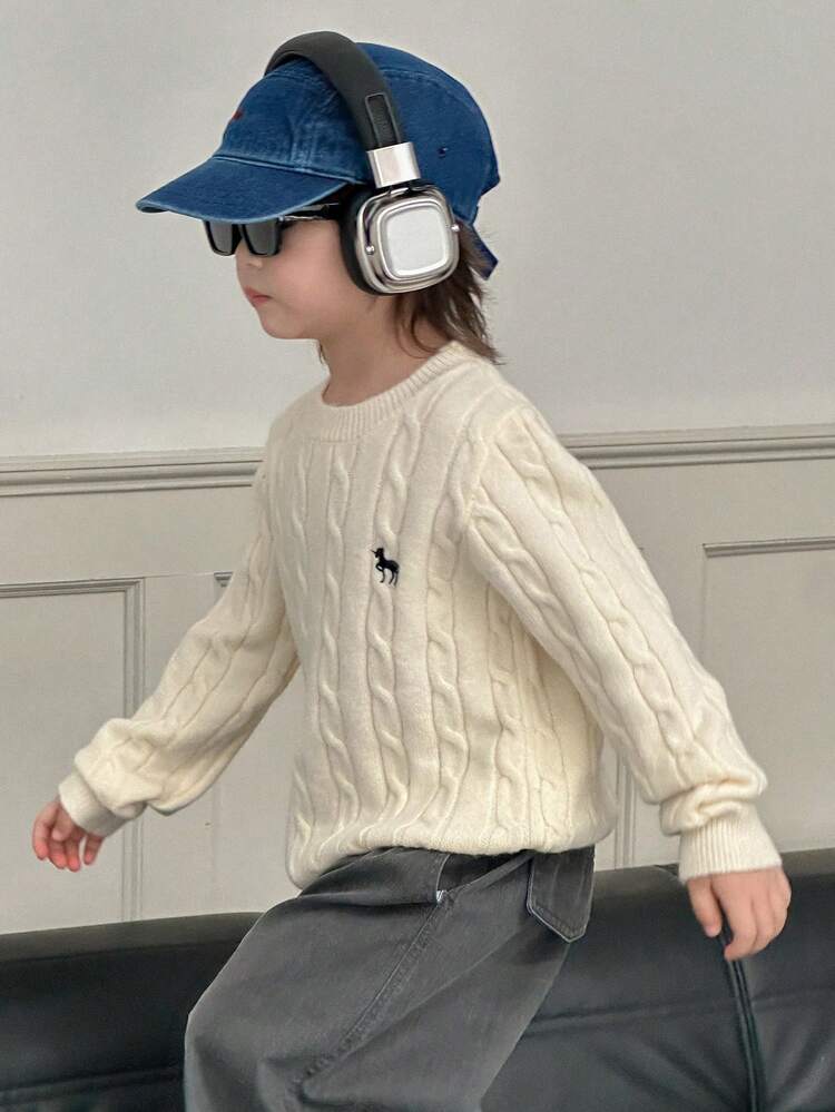 Young Boy Casual Solid Color Knit Sweater, Autumn/Winter