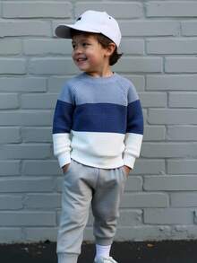 SHEIN Genkimix Kids 男童圆领针织长袖毛衣，秋冬季舒适保暖，蓝白撞色设计，时尚百搭，适合日常休闲穿着，居家、外出、旅行和上学皆宜。 - 彩色 - 查看 6
