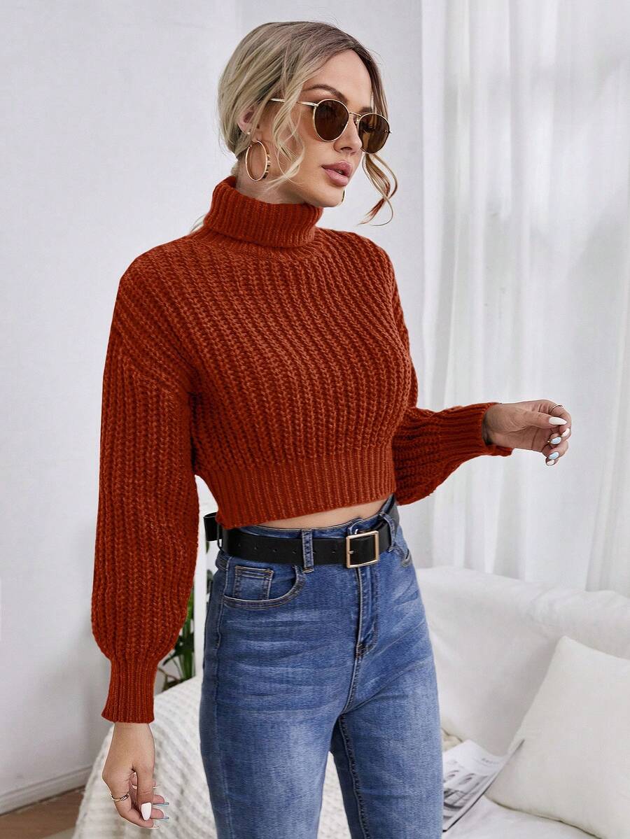 EURMUSE Women's Solid Color High Neck Drop Shoulder Long Sleeve Cropped Sweater, Autumn/Winter - Brown - View 1