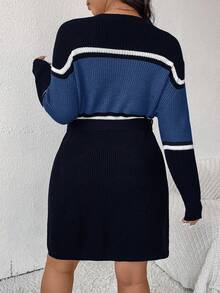 SHEIN Frenchy Plus Size Color Block Striped Drop Shoulder Long Sleeve Casual Knit Sweater Dress/Winter - Multicolor - View 3