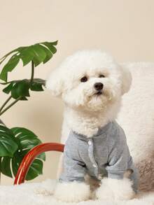 PETSIN 1pc Pet Cat Dog Universal Round Neck Pullover, Apricot Pink Gray Hoodie, Elastic And Comfortable Four Legged Clothes, Fashionable Printed Basic Style, Can Pull Dog Jumpsuit - Multicolor - View 6