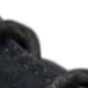 الأسود