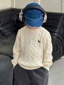 DAZY 男童休闲纯色针织毛衣，秋冬季