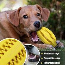 Pet Dog Chew Toys Teeth Cleaning Snack Ball Pet Dog Toy Ball Natural Rubber Super Tough Interactive Bouncy Pet Supplies - Multicolor - View 1