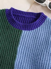 SHEIN Teenage Boys' Long Sleeve Casual Knit Sweater, Sports College Retro Color Block Crew Neck Pullover, Comfortable Warm Autumn/Winter Wear Knitwear Sweater For Kids Jumper For Kids Boy Sweaters