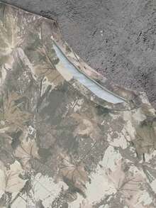 SHEIN Fashionable Leaf Print Loose Fit Round Neck Short Sleeve T-Shirt - Multicolor - View 5