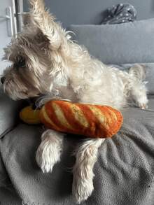 Juguete masticable para perros con forma de pan - Juguete de dentición suave y resistente a mordeduras para cachorros y perros pequeños - Juguete interactivo y divertido - Multicolor - Ver 5