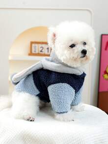 PETSIN 1件宠物猫狗服装，可爱灰蓝色兔子变身服，加厚保暖连帽外套，适合秋冬季穿着