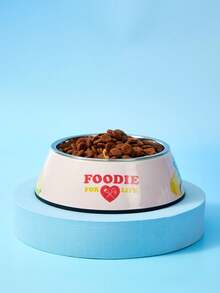 Care Bears X PETSIN Modern Style Dual-Layer Pet Food Dish, Combines Stainless Steel And Sleek Melamine, Non-Skid Easy Clean Design - Multicolor - View 10