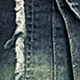 Dark Wash
