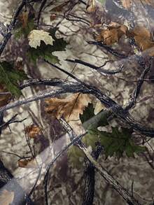 SHEIN 2 件套小男孩树叶迷彩全身印花连帽运动衫和裤子套装，休闲运动街头服饰，适合秋冬季