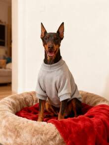 PETSIN 1pc Minimalist Cute Paw Print & Funny Slogan Graphic Pullover Sweatshirt, Flea Resistant, Shed Reducing, Warm & Breathable, Suitable For Indoor & Outdoor Cats & Dogs