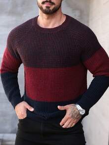 Manfinity Homme Men's Contrast Color Crew Neck Raglan Sleeve Casual Sweater, Autumn/Winter - Multicolor - View 5