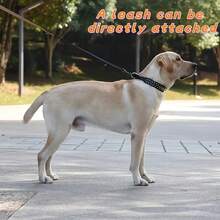 PETSIN Collar de perro con picos, collar de perro de cuero sintético remachado, collar de perro ajustable, adecuado para paseos al aire libre - Multicolor - Ver 9
