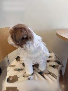 PETSIN Autumn And Winter Bottoming Knit Sweaters, Cute Princess-Style Pet Clothing, Winter Warm Dog Clothes, Autumn And Winter Bottoming Knit Sweaters (Suitable For Bichon Frise, Pomeranian, Teddy Dogs), Sweet Two-Legged Tops For Both Cats And Dogs, Fashionable Basic Bottoming Sets For Small Dogs - White - View 8