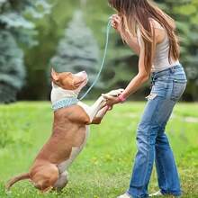 PETSIN Collar de perro con picos, collar de perro de cuero sintético remachado, collar de perro ajustable, adecuado para paseos al aire libre - Multicolor - Ver 12