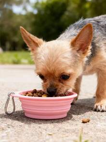 PETSIN Pet Foldable Bowl, Silicone Dog Bowl, Spill-Proof Outdoor Cat And Dog Feeding Utensil, Dog Feeding Basin, Dog Water Bowl, Pet Supplies, Dog Food Bowl - Multicolor - View 4