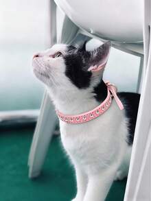 PETSIN طوق جلدي قابل للتعديل للكلاب والقطط صغيرة ومتوسطة الحجم مزين بالراين - الظلام - مشاهدة 3