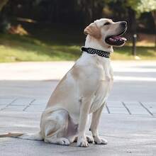 PETSIN Collar de perro con picos, collar de perro de cuero sintético remachado, collar de perro ajustable, adecuado para paseos al aire libre - Multicolor - Ver 10