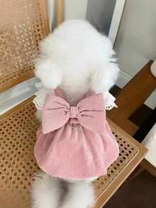 PETSIN 宠物服装：可爱宠物连衣裙，带牵引绳环，秋冬季灯芯绒南瓜裙，适合猫狗，时尚蕾丝袖狗狗服装，适合泰迪犬和比熊犬等小型犬的时尚宠物服装 - 粉色 - 查看 5