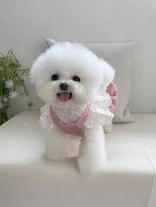 PETSIN 宠物服装：可爱宠物连衣裙，带牵引绳环，秋冬季灯芯绒南瓜裙，适合猫狗，时尚蕾丝袖狗狗服装，适合泰迪犬和比熊犬等小型犬的时尚宠物服装 - 粉色 - 查看 7