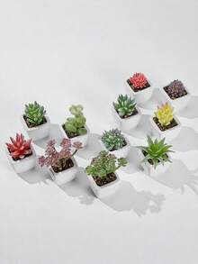 1株人造植绒多肉植物，菱形图案/白色小盆栽，仿真花桌面摆件，迷你盆栽景观绿植，情人节、生日、毕业季、家居装饰、返校季、房间装饰、学习用品 - 彩色 - 查看 11