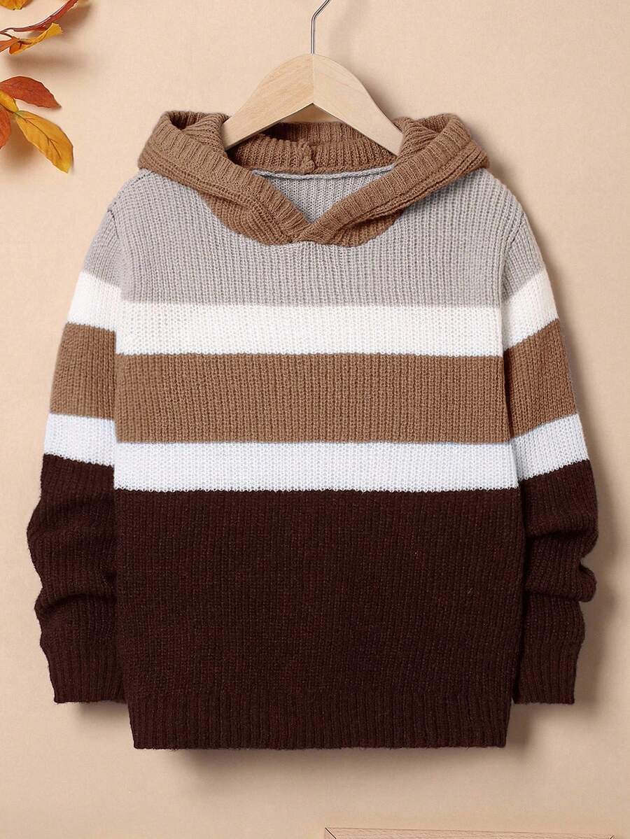 SHEIN Boys' Oversized Striped Hooded Pullover Sweater - Brown - View 1