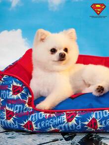 SUPERMAN X PETSIN 1 chiếc đệm giường cho thú cưng có thể tháo rời và giặt được, thoải mái và thời trang cho mèo và chó, phù hợp với mọi mùa - Nhiều màu - Xem 3