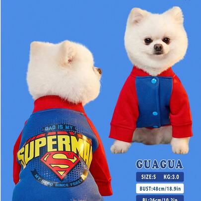 SUPERMAN X PETSIN 一件撞色插肩袖印花卫衣，时尚设计，适合宠物穿着。