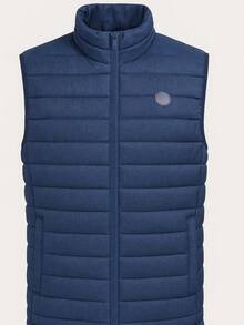 Chaleco Acolchado Casual de Hombre con Bolsillos Laterales  Tono Gris Carbón
Chaleco para Clima Frío de Hombre con Textura Suave y Cierre Completo Gris Oscuro
Chaleco Deportivo y Casual para Hombre con Cuello Alto y Diseño Acolchado - azul - Ver 4