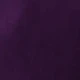 Violet Purple