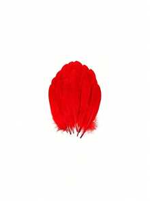 10pcs 6-8 Inches Handmade Golden Feathers Natural Goose Feathers For DIY Crafts Wedding Decorations Cosplay Angel Wings Fairy Crafts - Multicolor - View 11