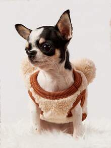 PETSIN 1件冬季服装带毛绒保暖，宠物奶狗米色耳朵，熊奶狗可爱狗衣服，泰迪雪纳瑞猫衣服 - 米色 - 查看 3