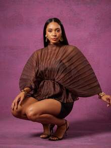 Vixey Sheer Mock Neck Long Sleeve Peplum Hem Pleated Textured Organza Top - Brown - View 3